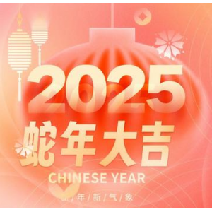深圳市飞录科技有关2025年春节放假安排